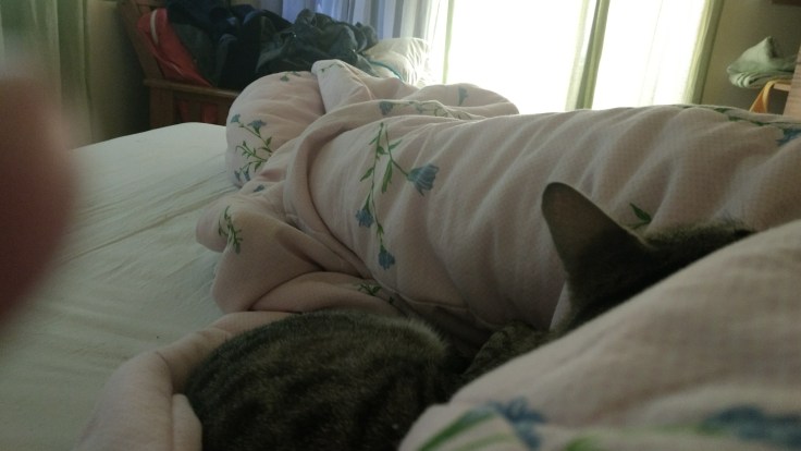 img_20161210_063334173