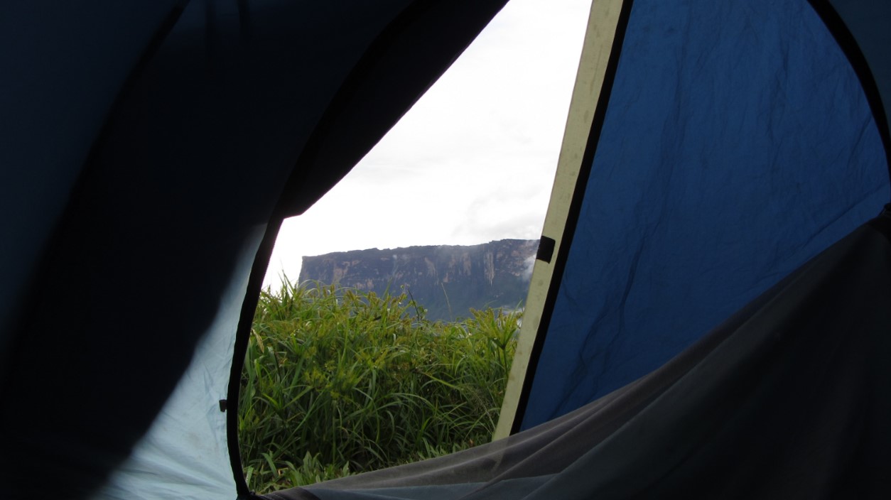 Vista para o Kukenan Tepui