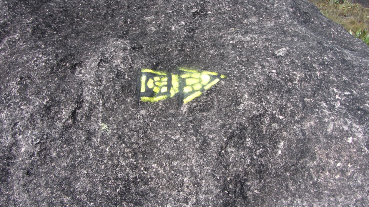 061218_08_monteroraima